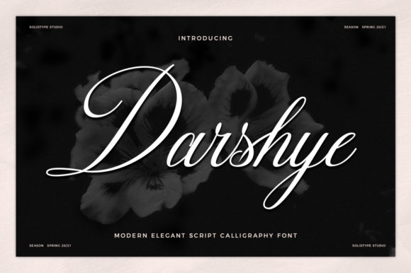 Darshye: A Elegant Script Font