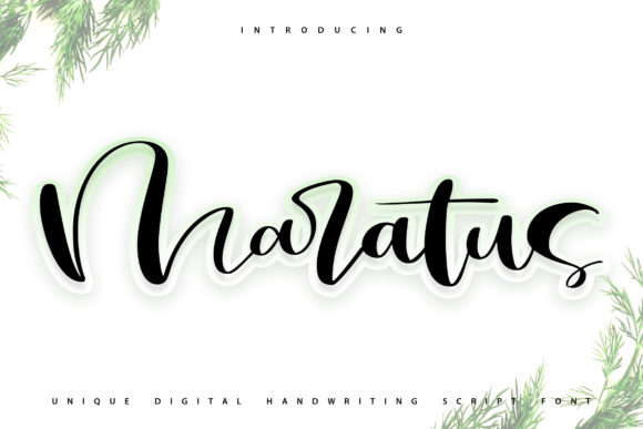 Maratus: A Handwritten Font for Creative Projects