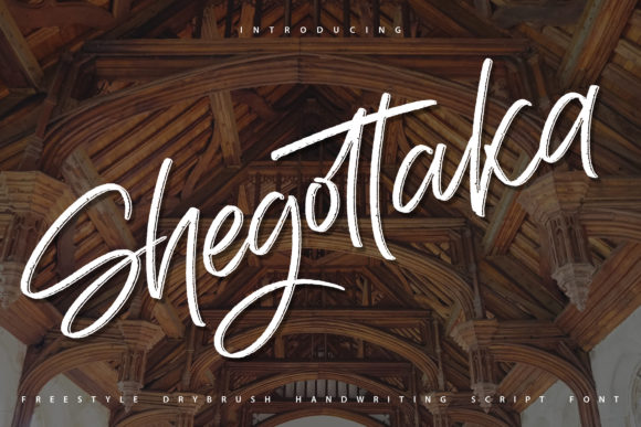 Shegottaka: A Trendy Font for Marketers