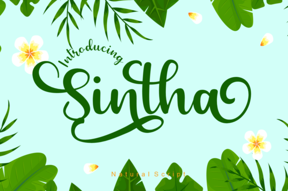 Use Sintha for Clear, Strong Campaigns