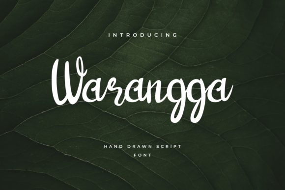 Warangga: A Delicate Script Font